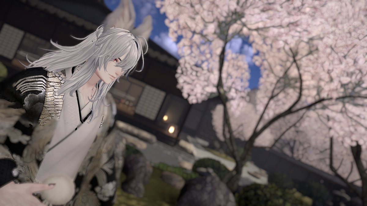 にゃん虎 tweet media