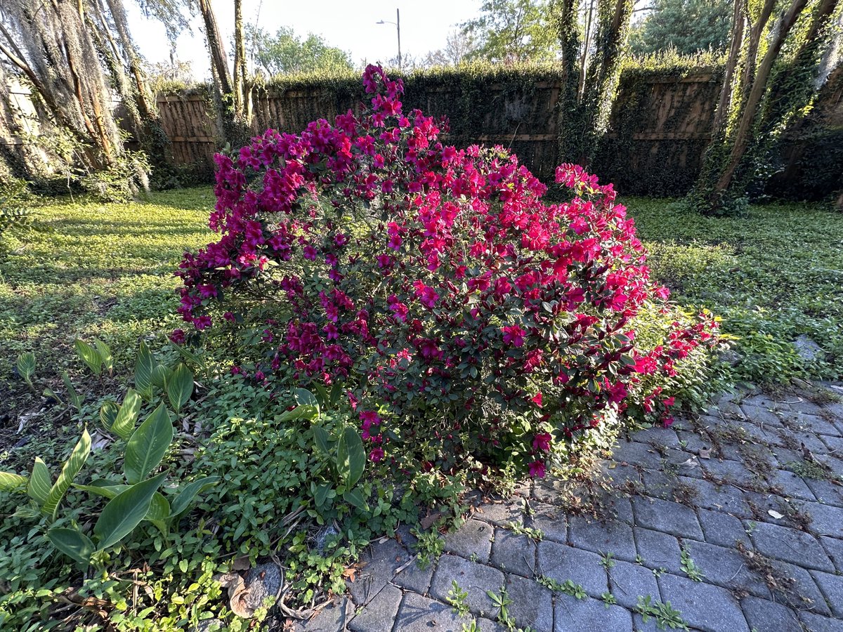 Patrick Skinner tweet media