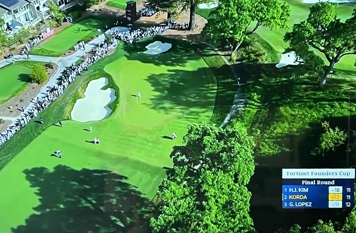 Lisa Cornwell tweet media