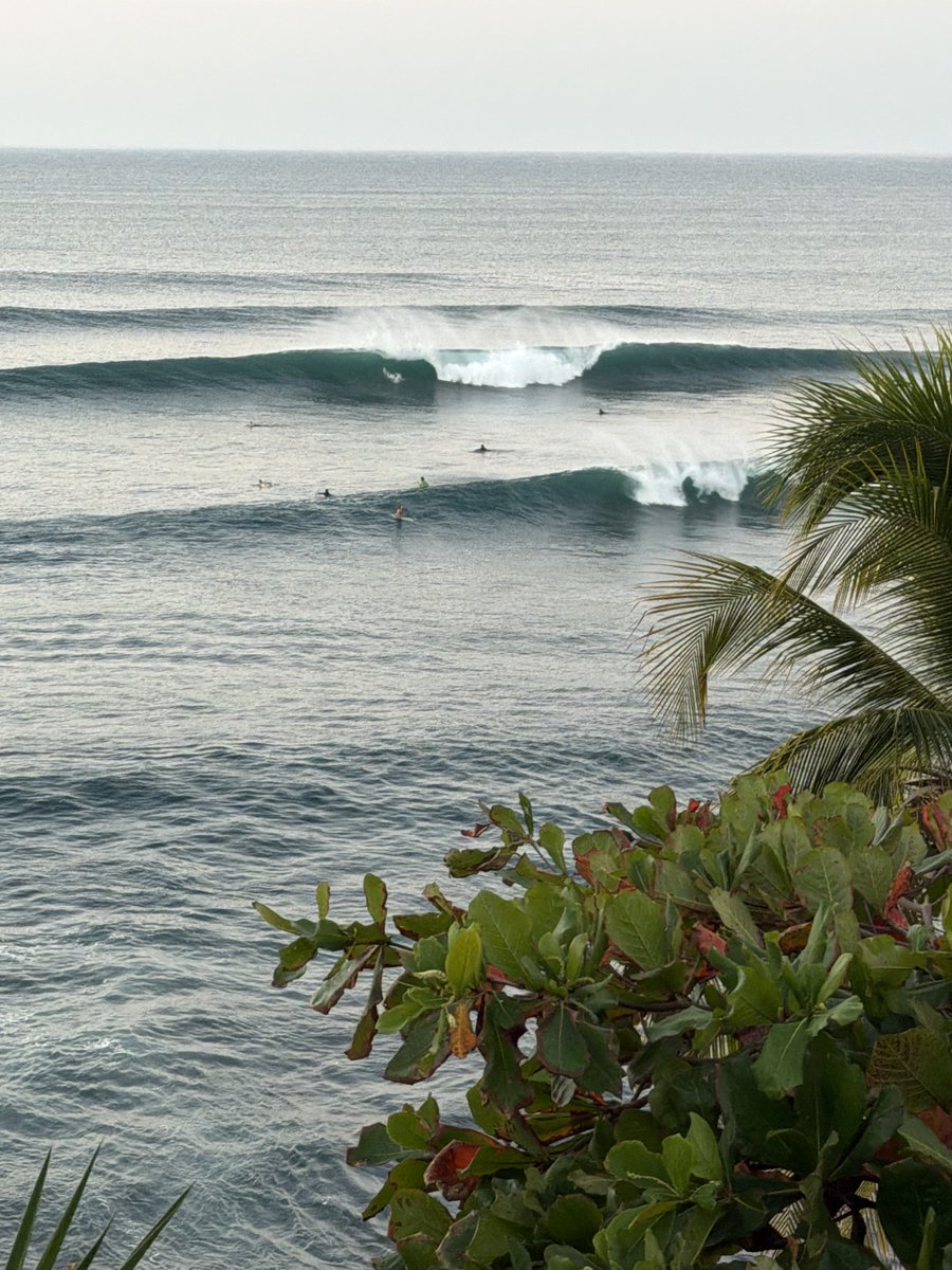 Mike Watson tweet media