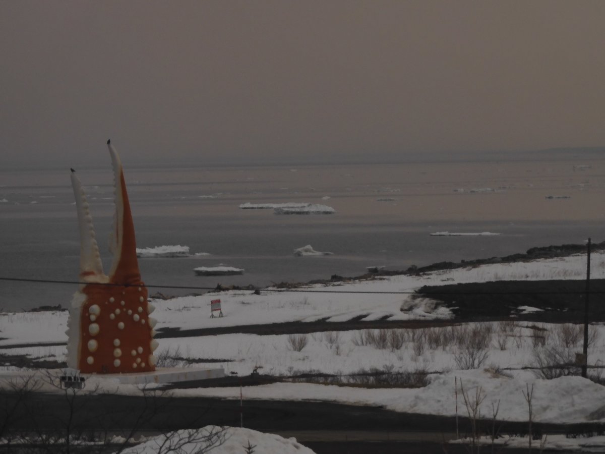 ryuhyonow_'s tweet photo. 3月23日
水平線に流氷が見えています。
岸近くには、はぐれ氷が浮いています。(GIZA) https://t.co/v31CRL7deh