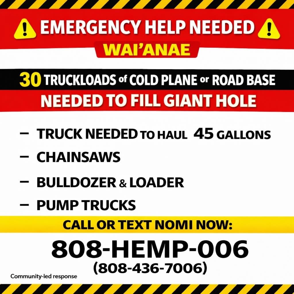 Tiki 🧜♀️🐴 tweet media