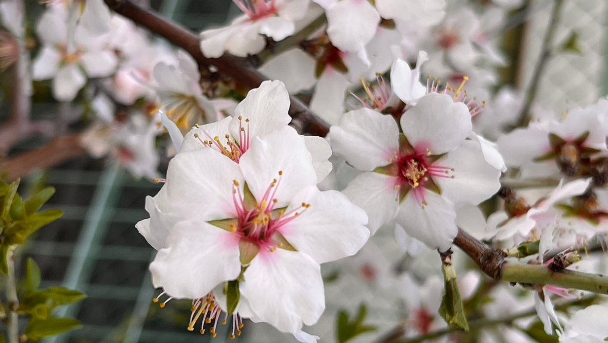 エムトピア【公式】 tweet media