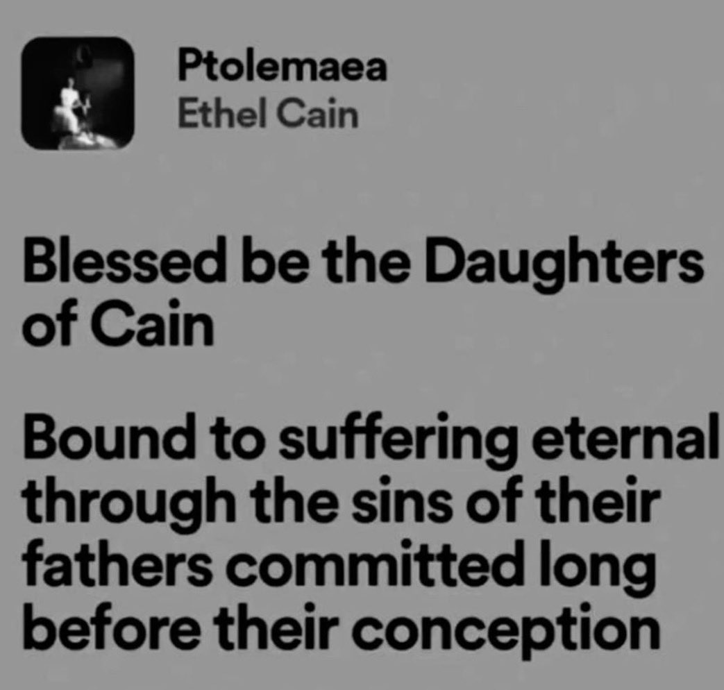 elphie’slawyer tweet media