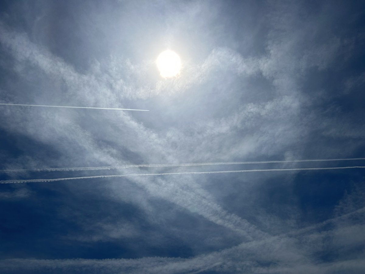 Freedom Ringer🔔🇺🇸🙏🏻🇺🇸 tweet media