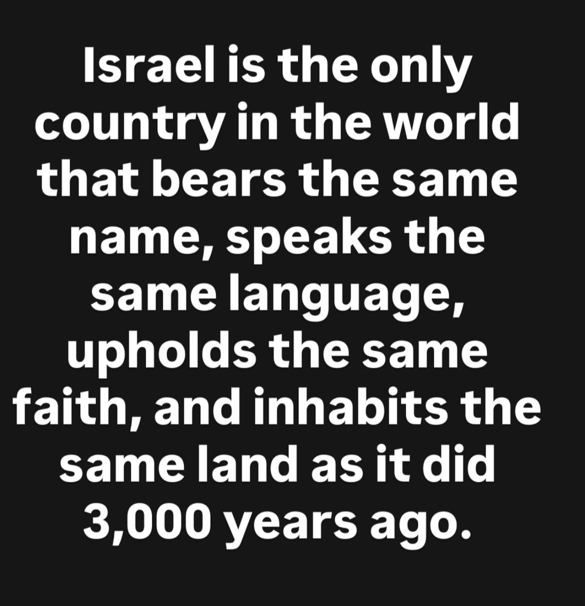 Vivid.🇮🇱 tweet media