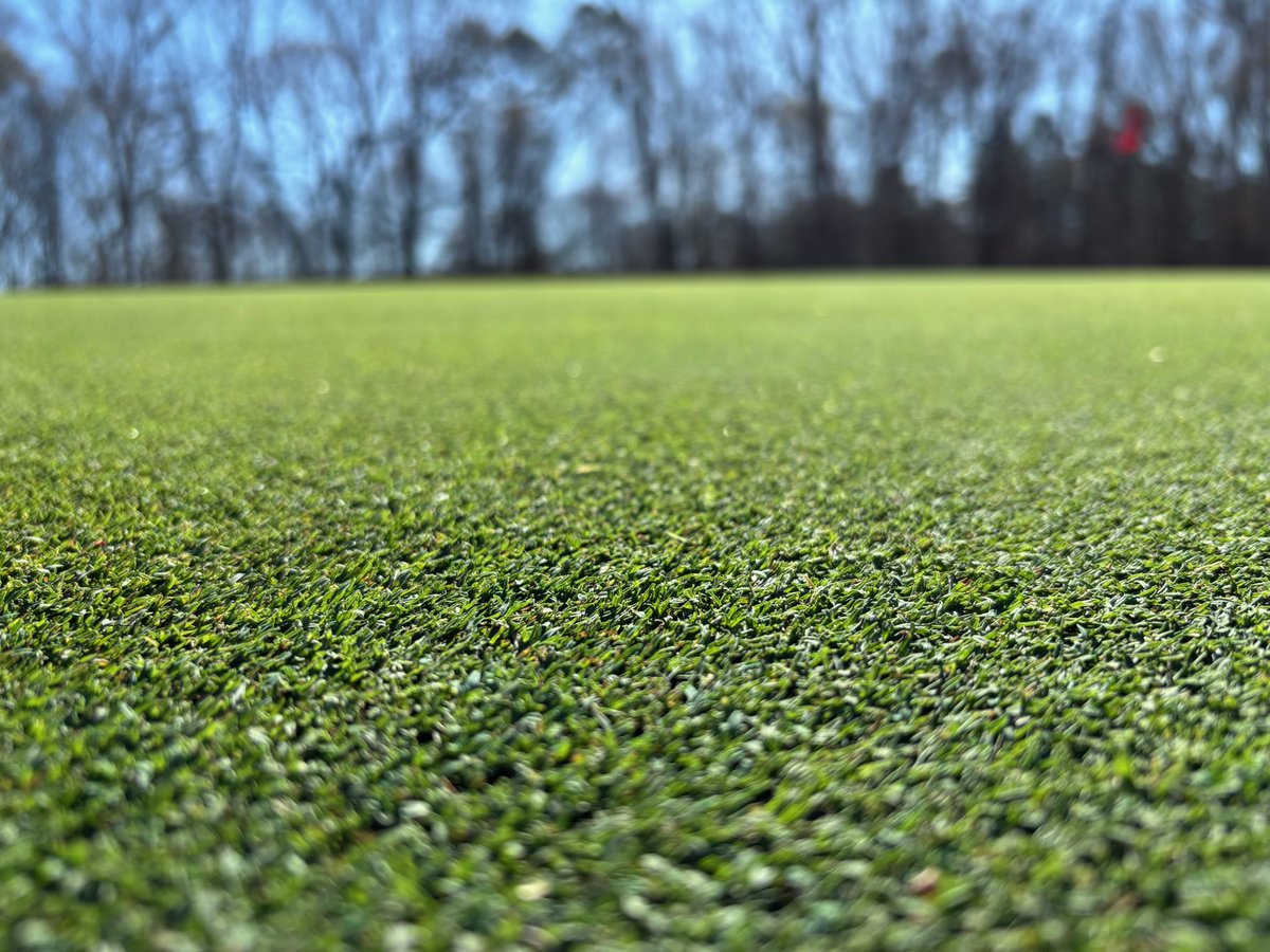 Aquaritin Turf tweet media