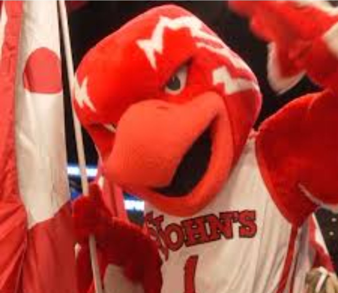 #ChiefsKingdom tweet media