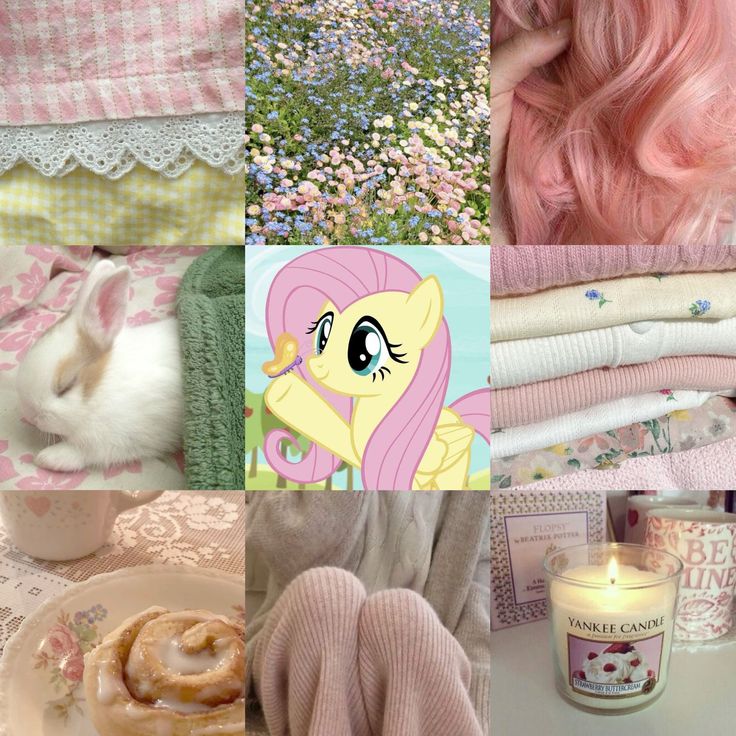 𝐀𝐧𝐚𝐥𝐮'🐾 tweet media