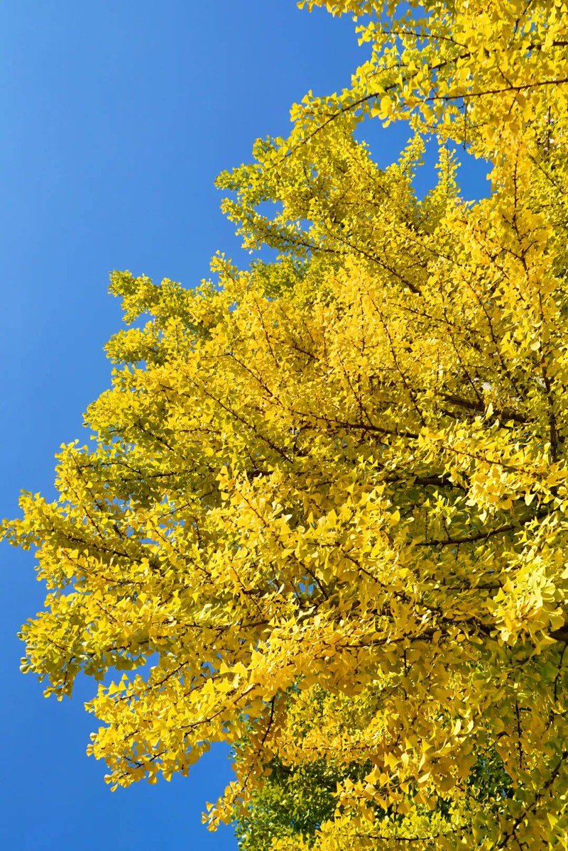 Юрчик Света tweet media