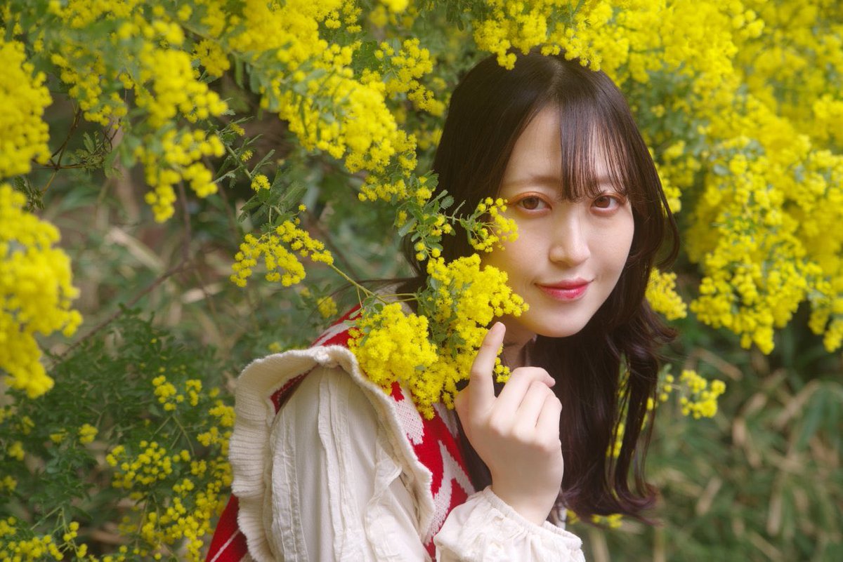 amo_air1201's tweet photo. おはよ💛

.
.

📸がんぽさん@easterngumpo 

 #ポートレート  #Portrait 
 #ミモザ  #ポートレート好きな人と繋がりたい https://t.co/V2VdT3hzok