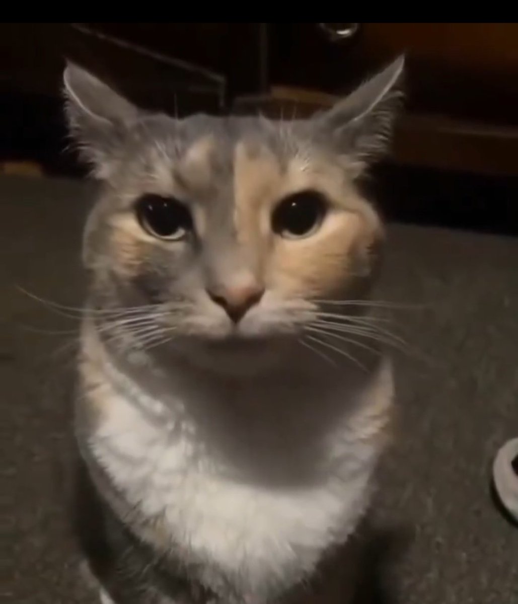 Krux Krux Krux tweet media