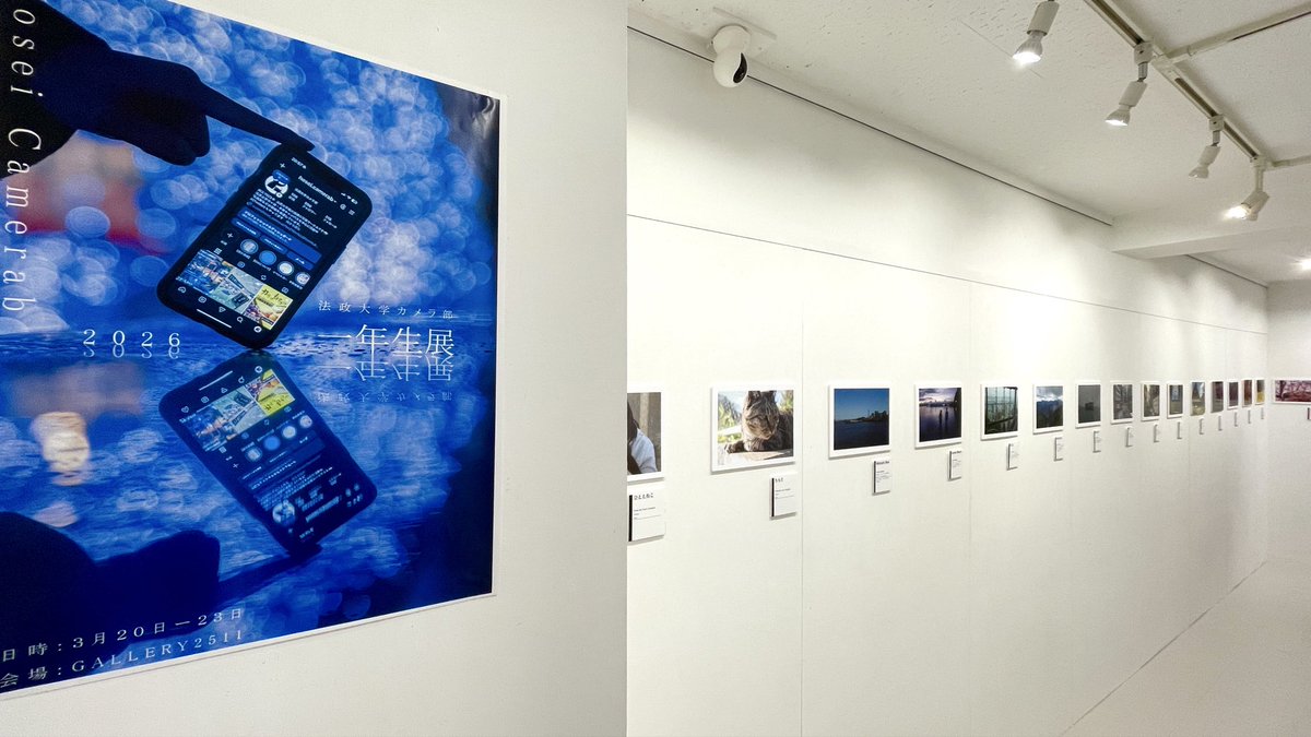 GALLERY 2511 tweet media