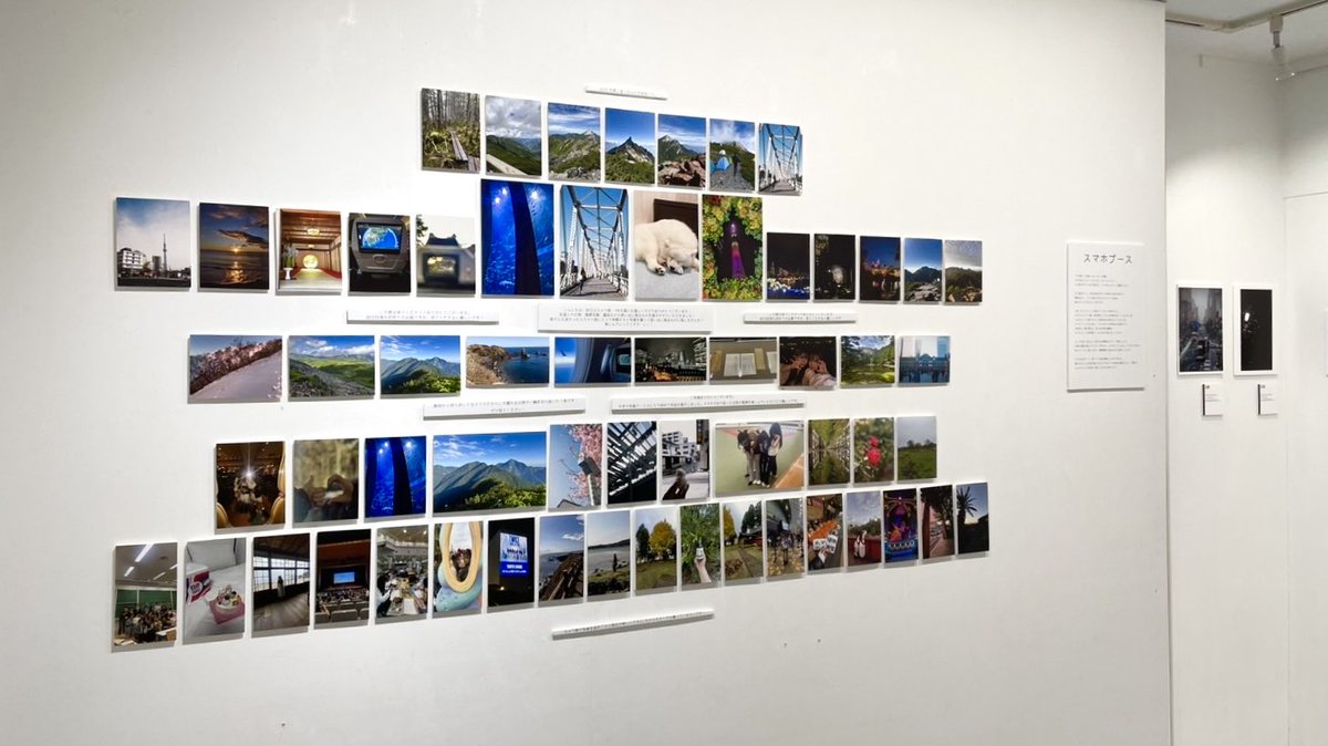 GALLERY 2511 tweet media
