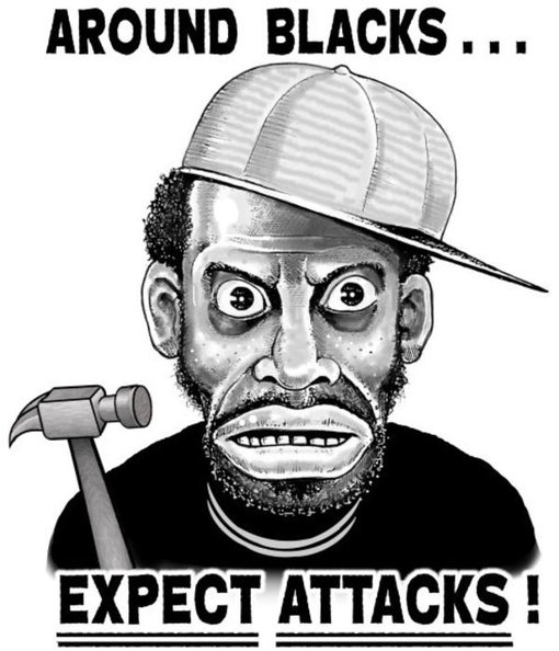 The Asian Patriot tweet media