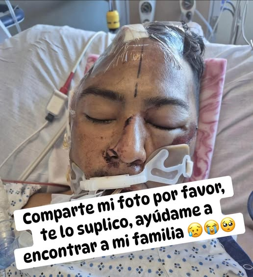 constanza luna tweet media