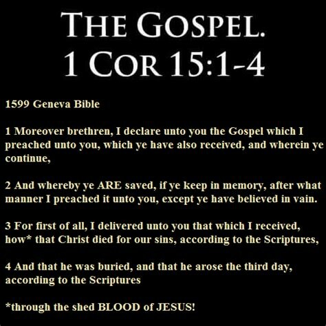 Strikefire 7 Veteran tweet media