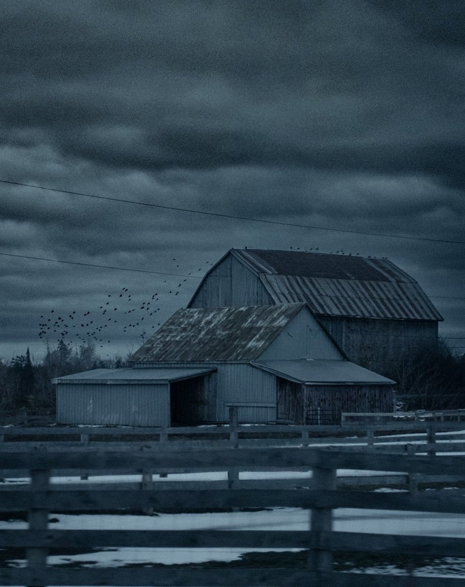 Loki Highlock tweet media