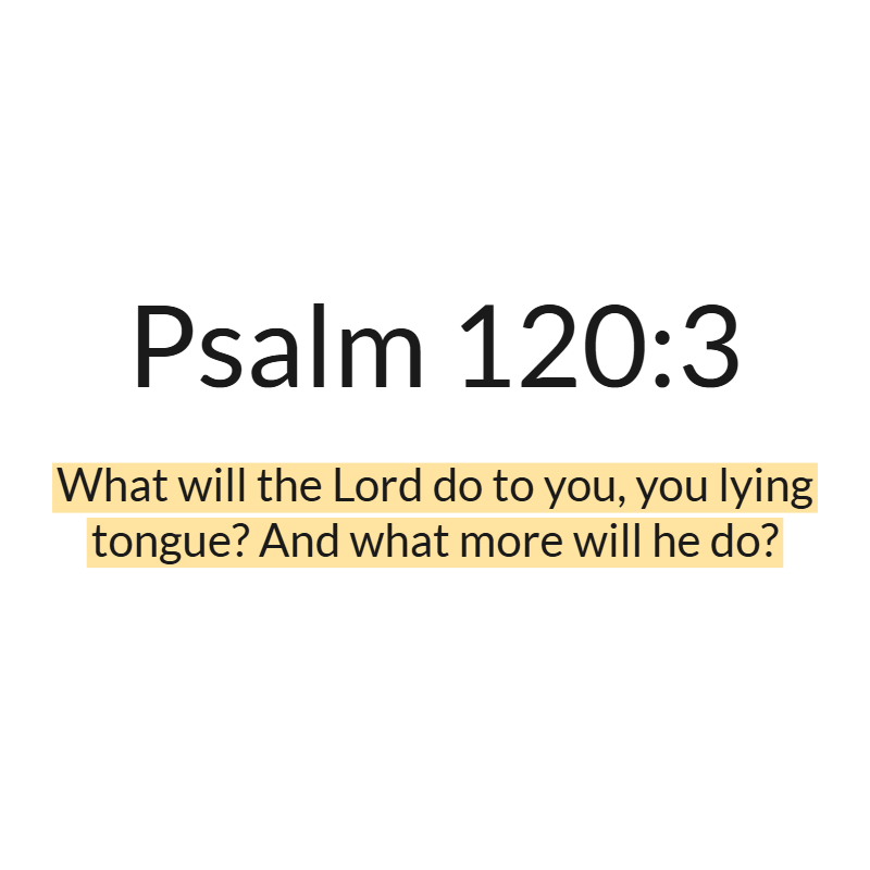 Jesus Insight tweet media