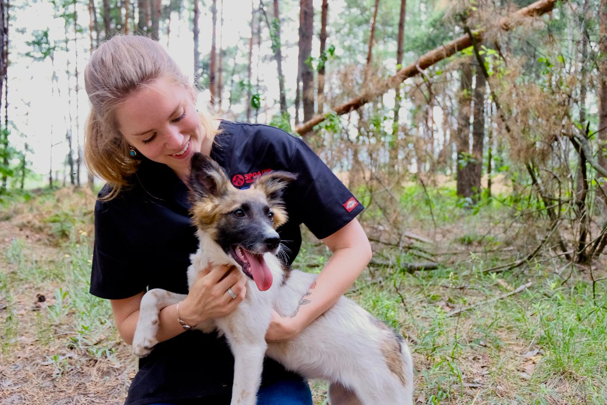 SPCA International tweet media