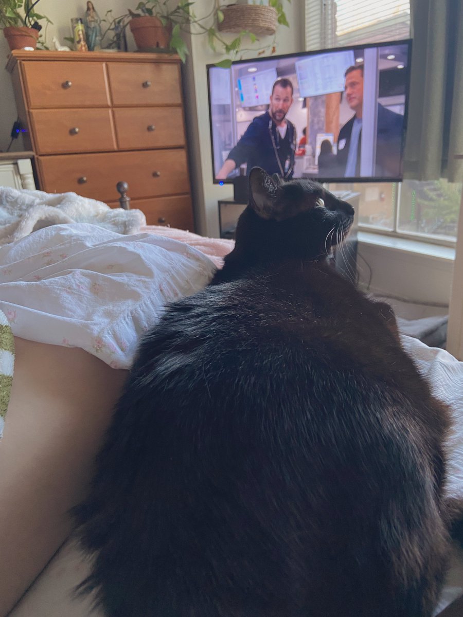 mary🐈⬛clare tweet media