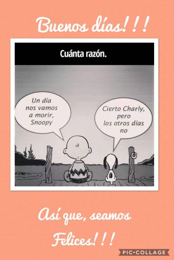 manlio ber. tweet media