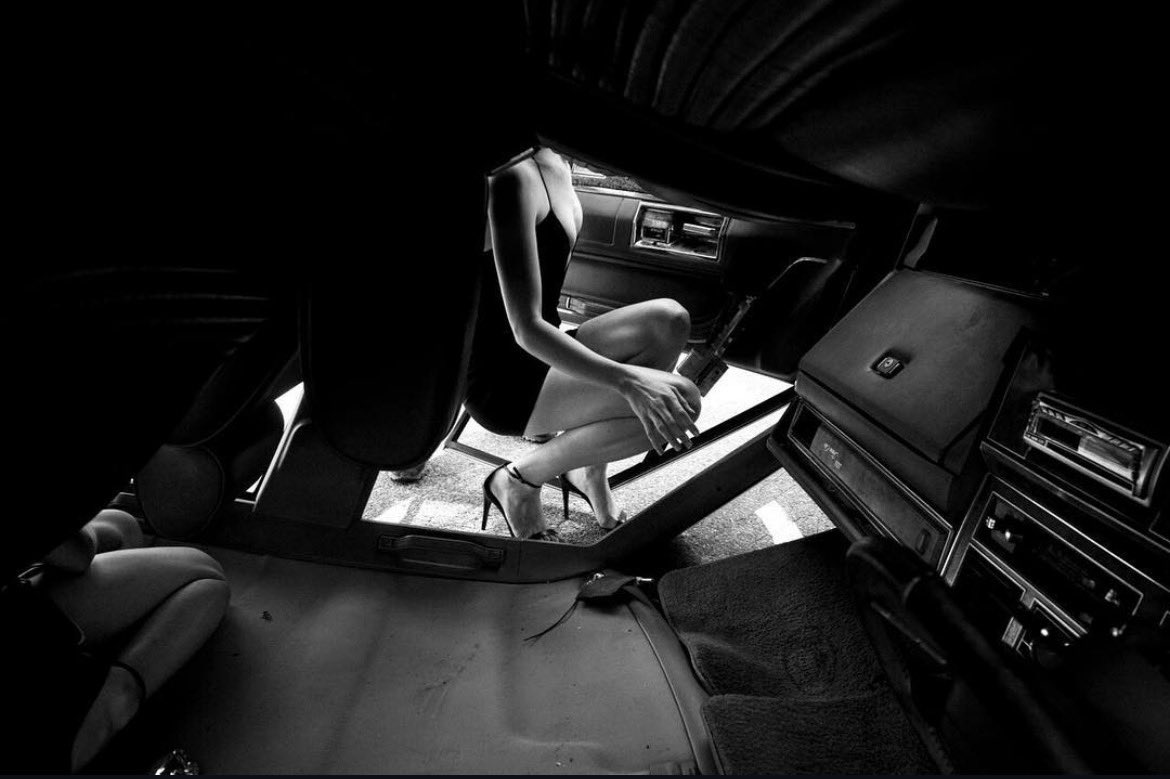 The Birds. tweet media