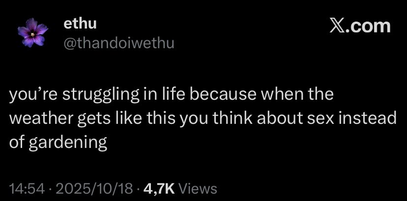 brother bernard tweet media