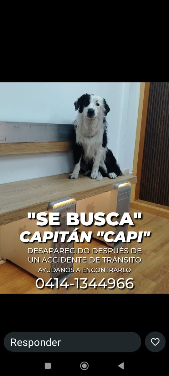 Alberto J. Prato tweet media