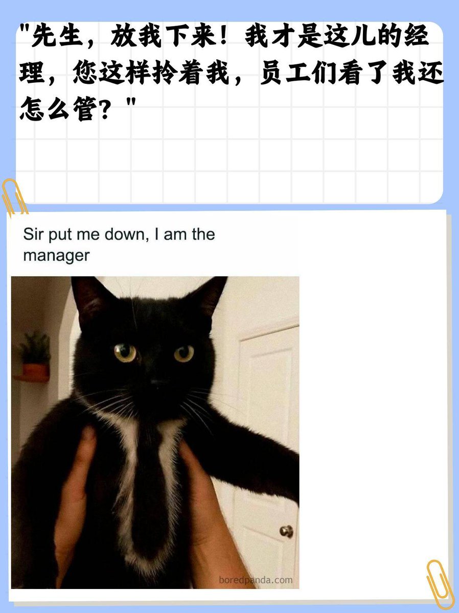 thriftpeclair awad tweet media