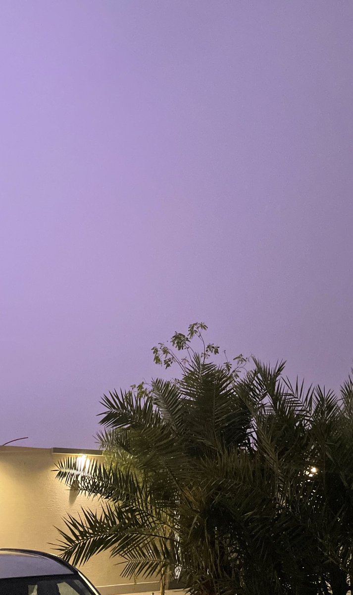 Fatimah ⭐️ tweet media