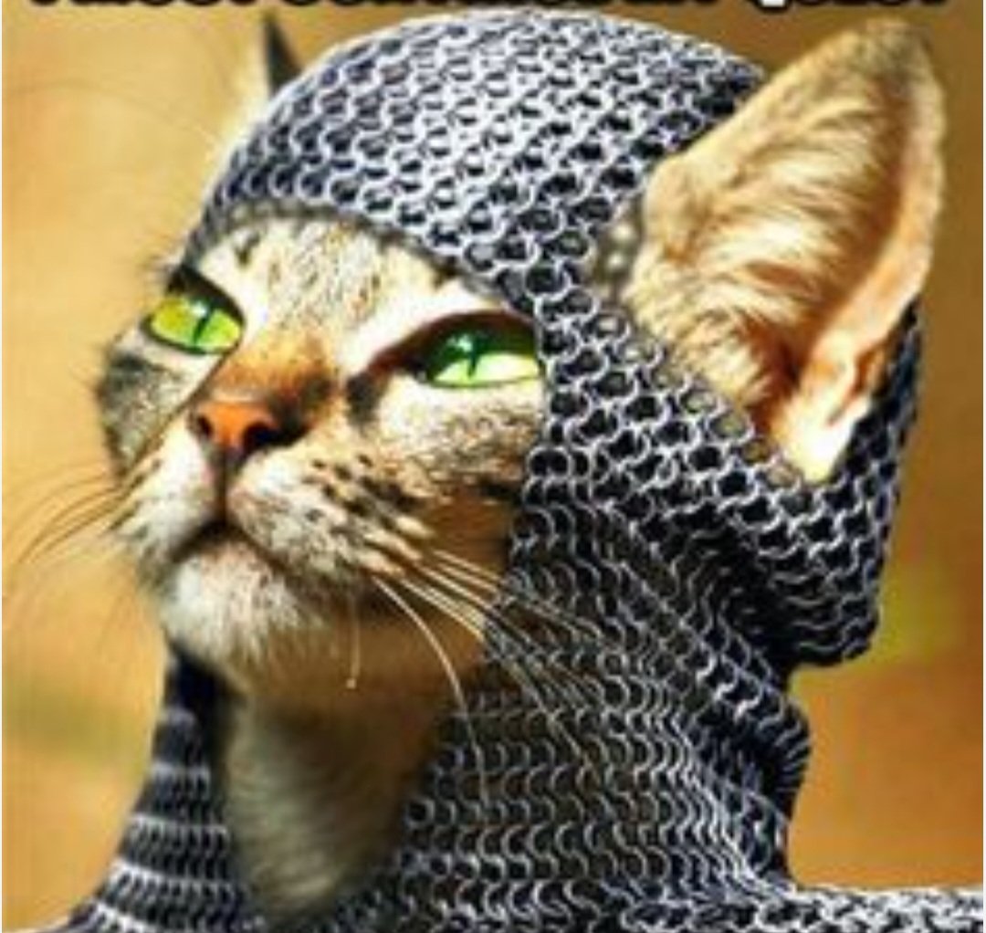 安德鲁 Andrew 🇦🇺🦘 tweet media