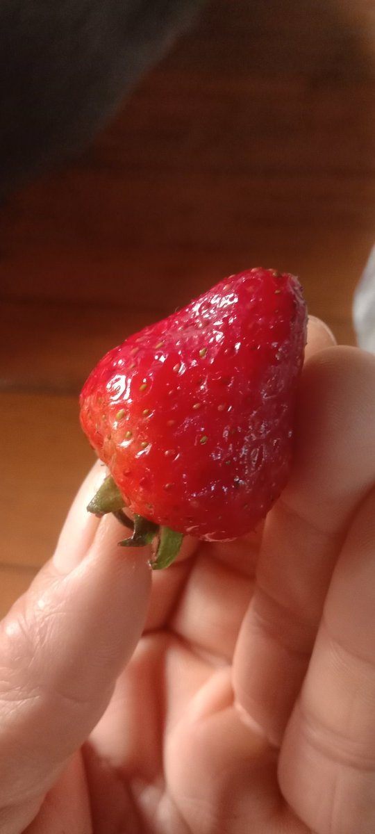 فاطمة tweet media