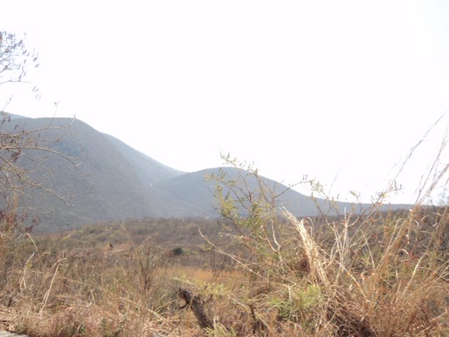 llovecho's tweet photo. motherland ♥︎ https://t.co/Cm9ivnP6dt