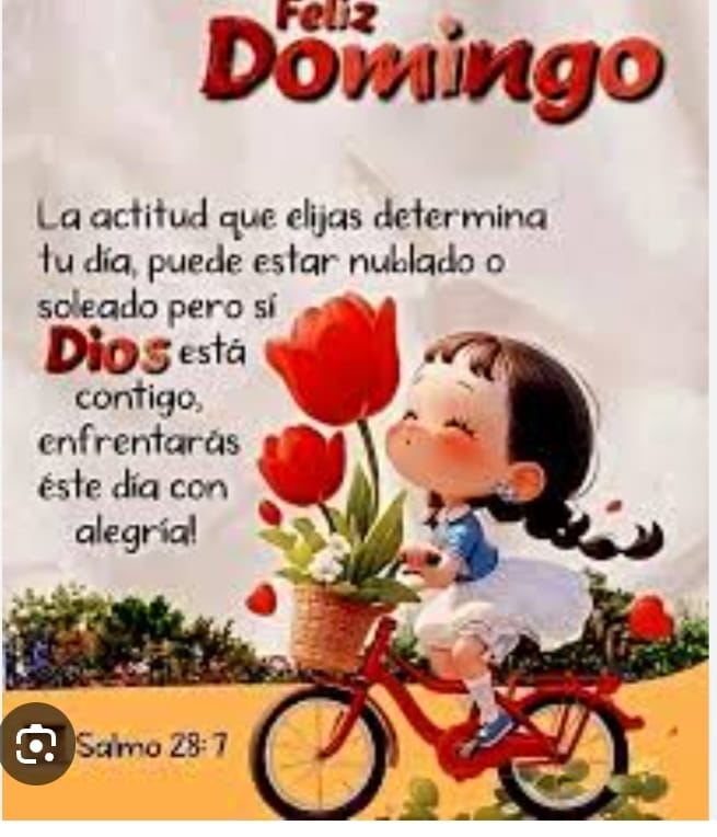 🥋🥇 tweet media