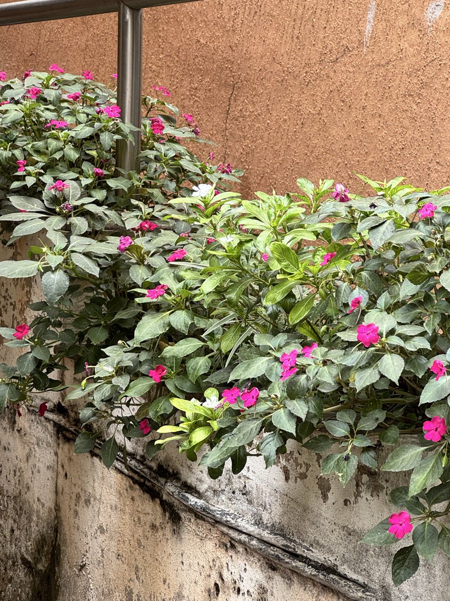 prasanna santhi tweet media