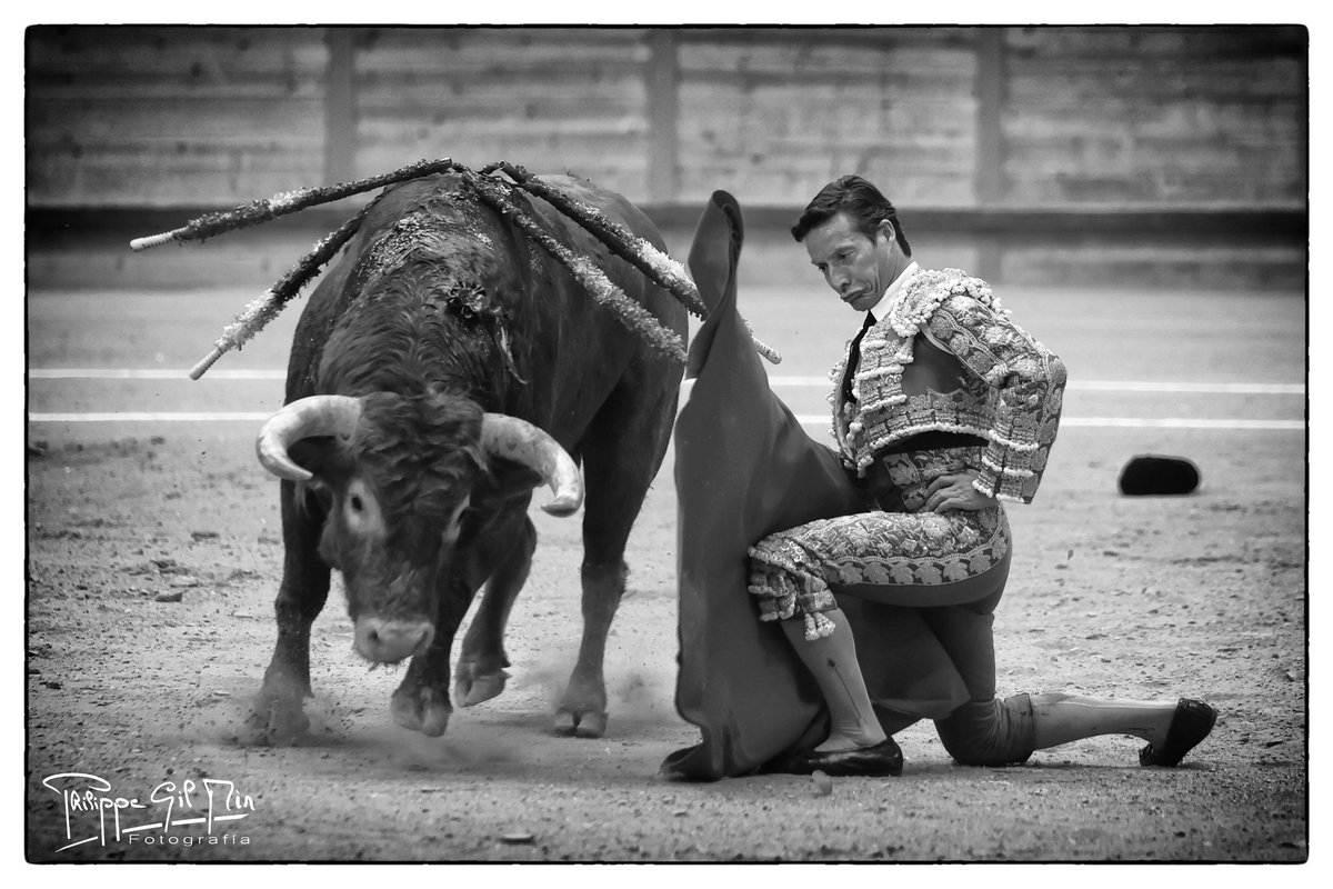 Pнιlιppe Gιl Mιr tweet media