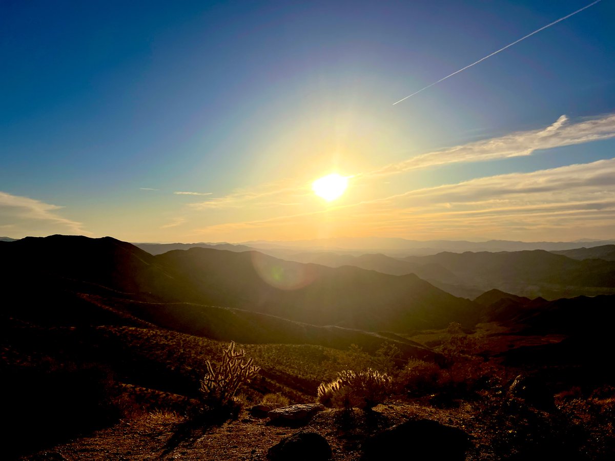 Flawwed1 tweet media