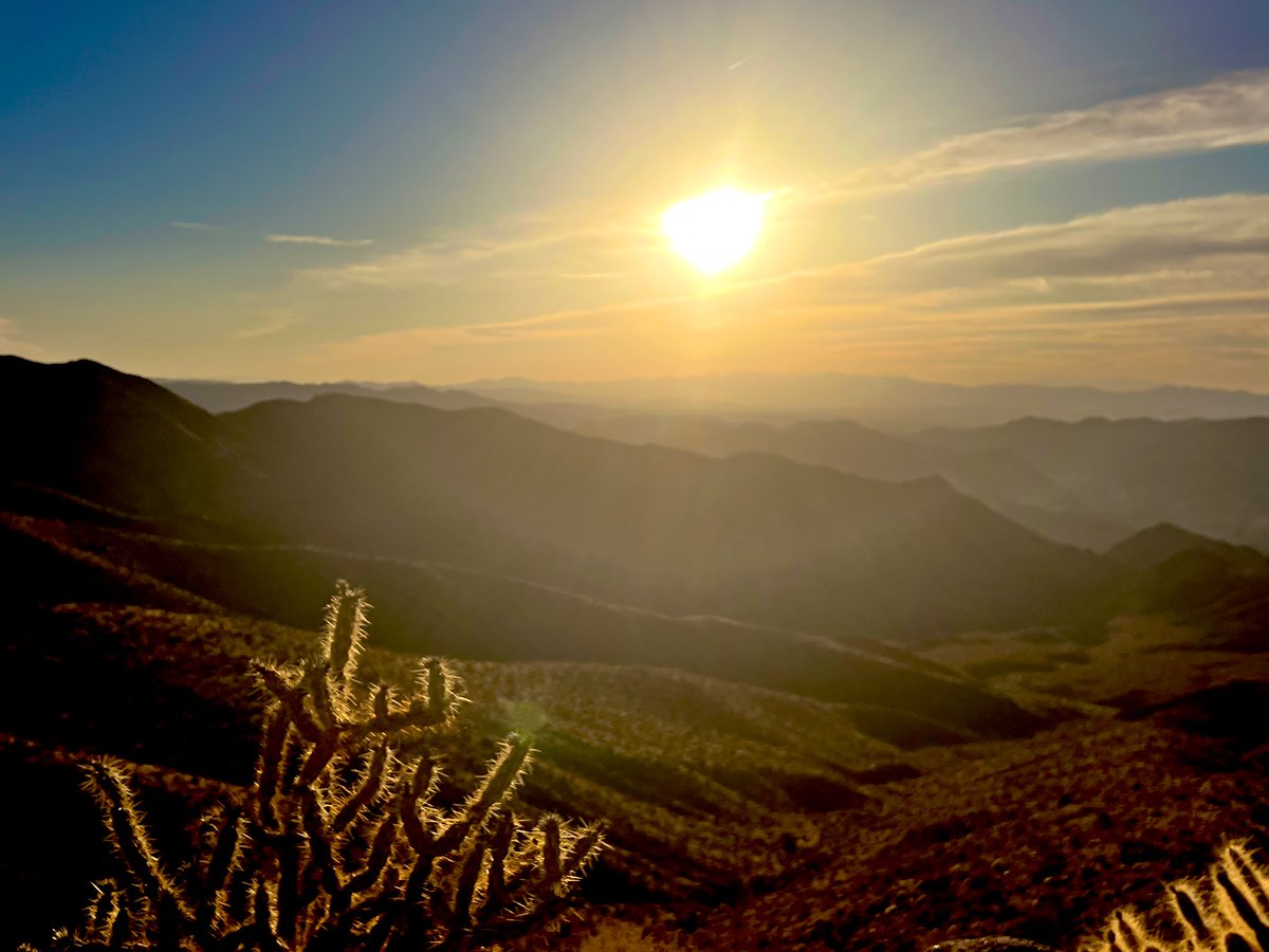 Flawwed1 tweet media