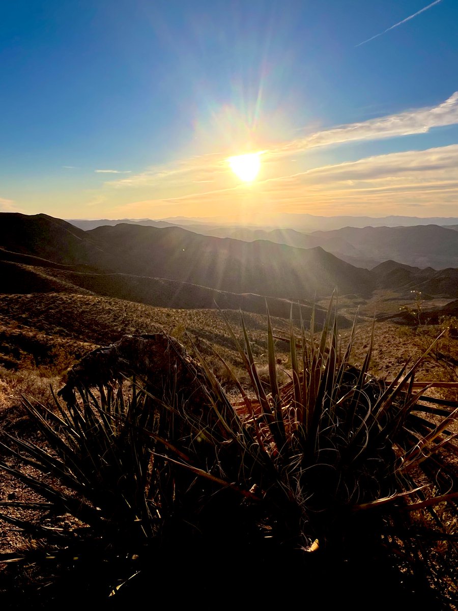 Flawwed1 tweet media