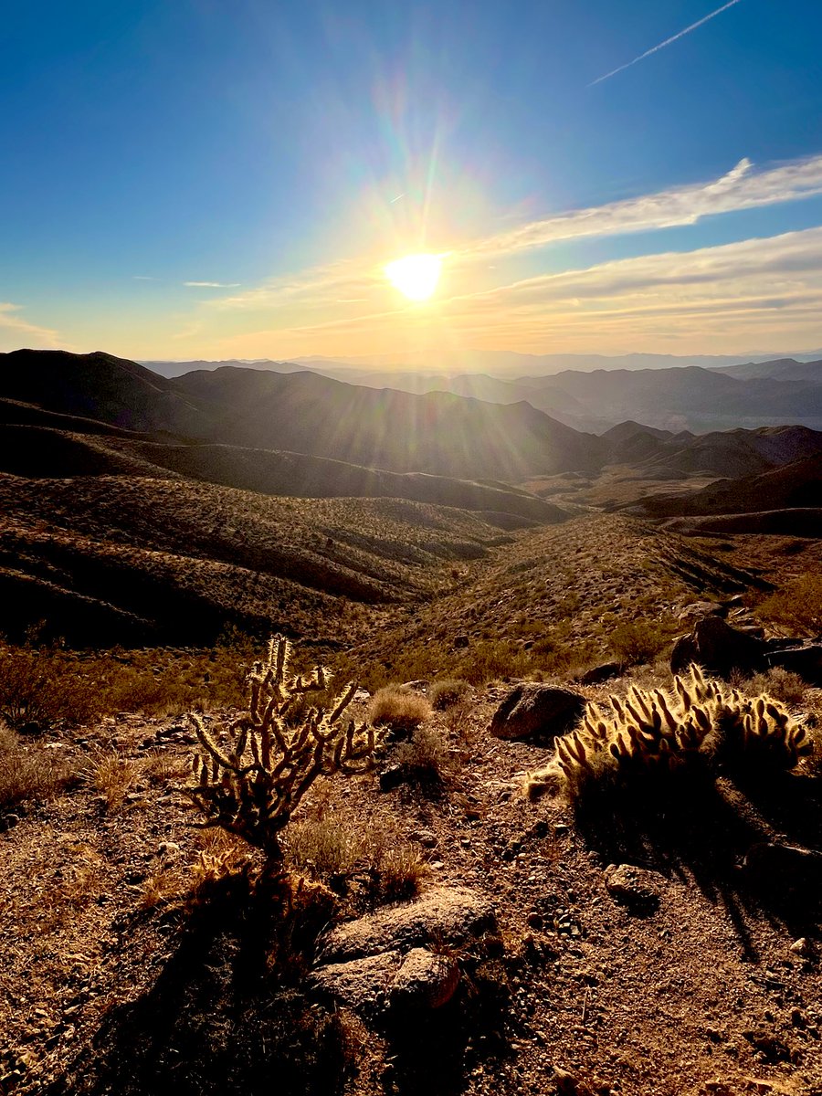 Flawwed1 tweet media