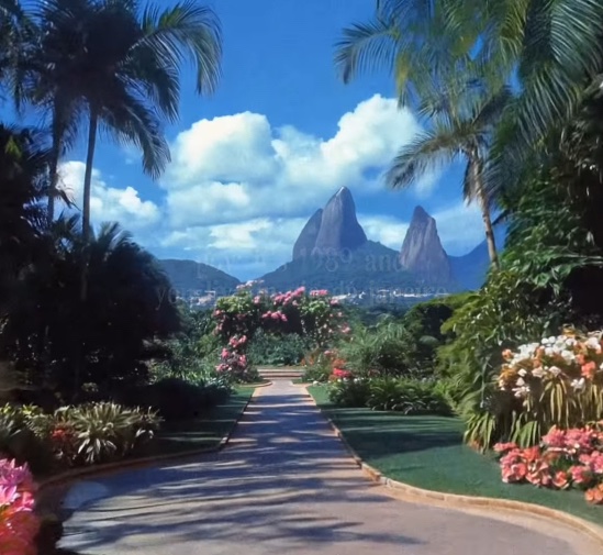 TheCheerCenter tweet media