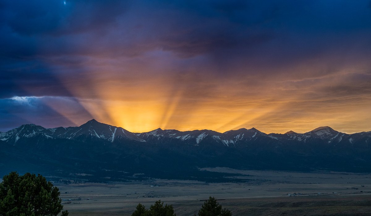 Dan Oosterhous tweet media