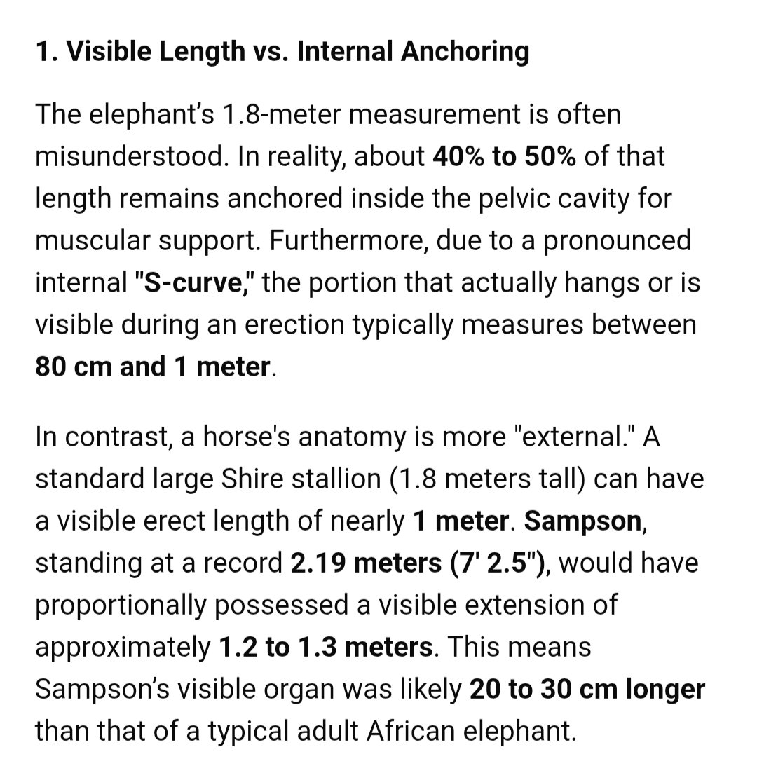 Honse🔞 tweet media