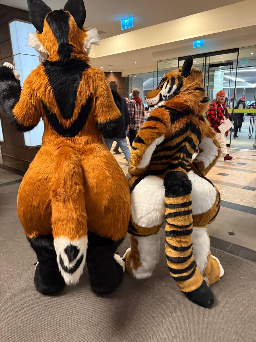 Shenanigans tweet media