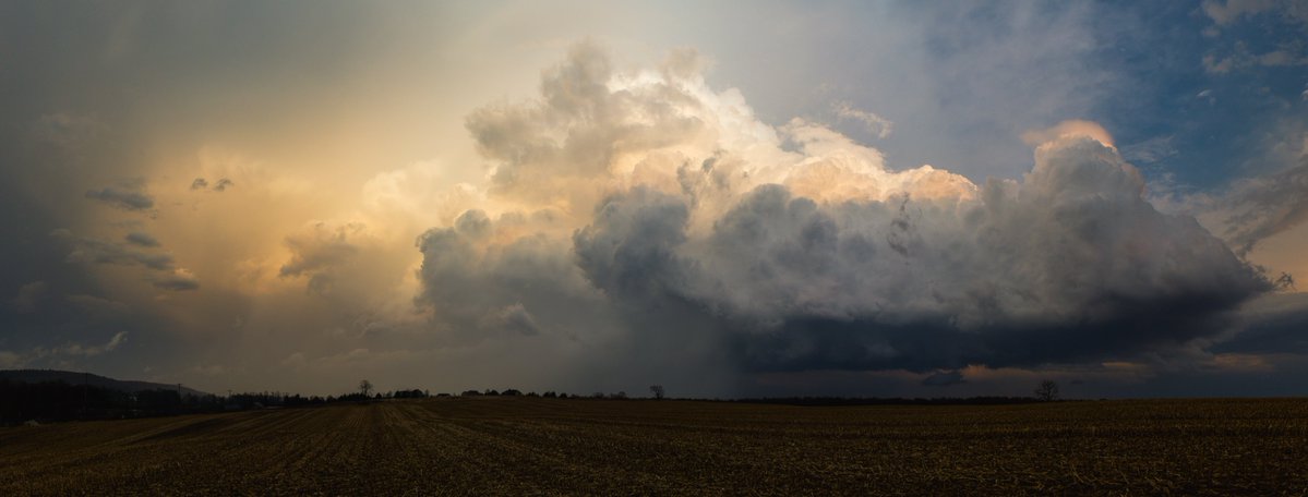 Sam Brandt tweet media