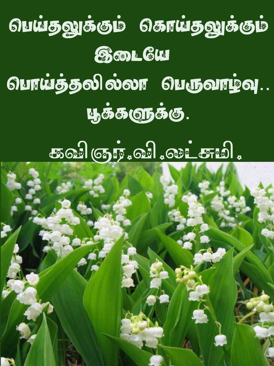 மாதொருபாகன் tweet media