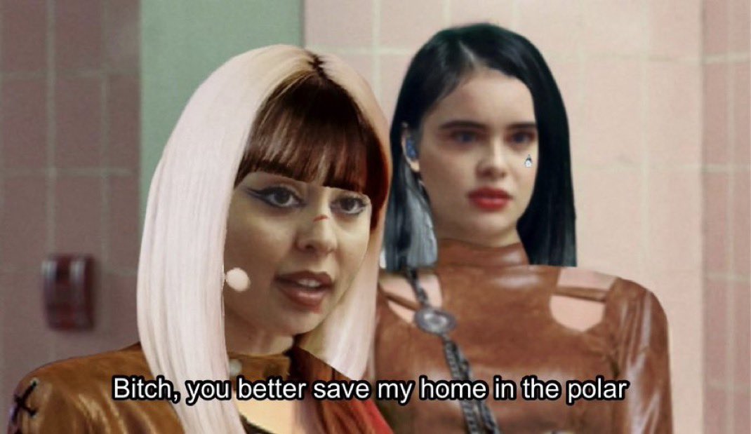 maddie 🐻 tweet media