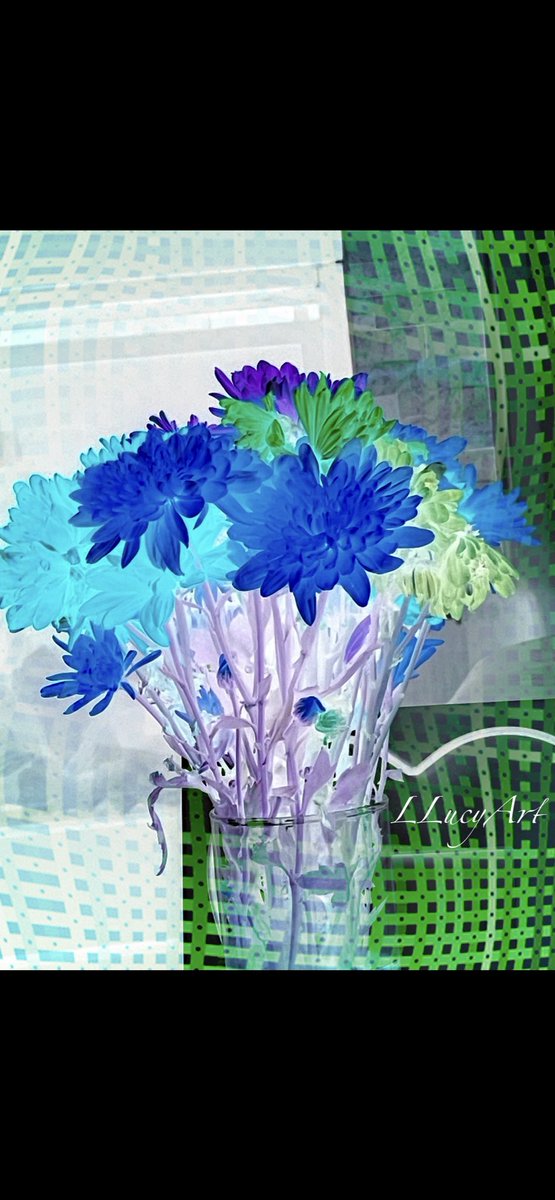 Littleflower 🌺🍃 tweet media