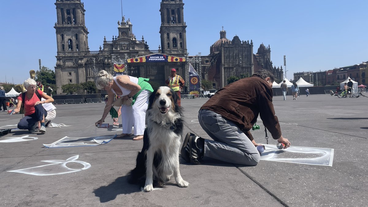 H.I.J.O.S. México tweet media